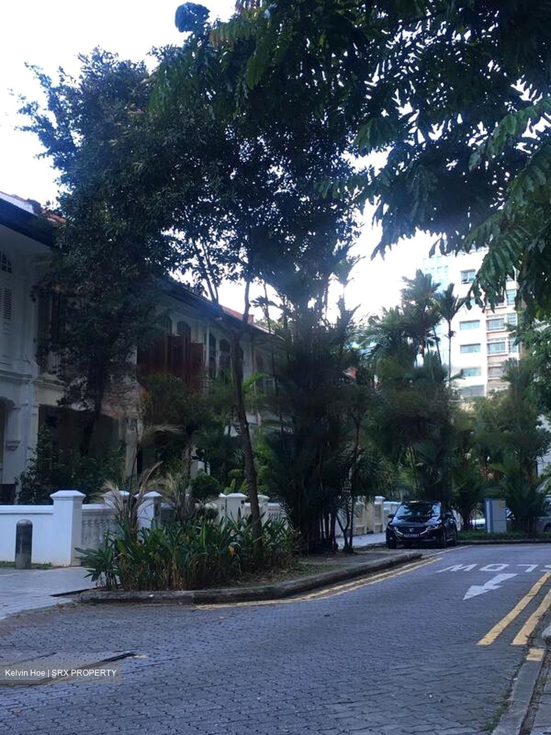 Emerald Hill Road (D9), Terrace #458872091
